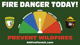 Forest Protection graphic showing the daily fire danger is high-level 3