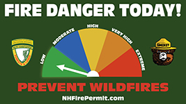 Forest Protection graphic showing the daily fire danger is low-level 1