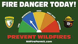 Forest Protection graphic showing the daily fire danger is moderate-level 2