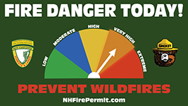Forest Protection graphic showing the daily fire danger is very high-level 4