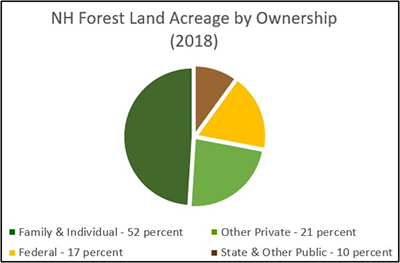 Graph showing percentages of different ownership categories and how much Forest Land they own in New Hampshire