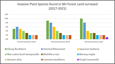 Graph showing the percentages of invasive plant species found on surveyed forest plots in New Hampshire
