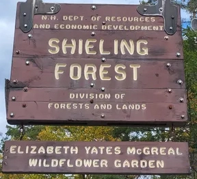 shieling forest sign